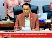 DPR Yakin Indonesia Siap Masuk Ekosistem Baterai Global lewat Proyek Dragon Grup MIND ID