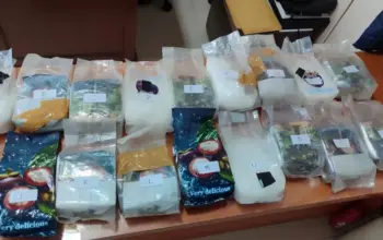 Polda Lampung Gagalkan Penyelundupan 17,29 Kg Sabu di Exit Tol Bakauheni