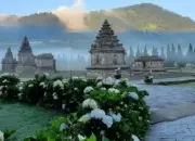 Empat Daerah di Indonesia Catat Suhu Terdingin hingga 0 Derajat Celsius