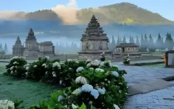 Empat Daerah di Indonesia Catat Suhu Terdingin hingga 0 Derajat Celsius