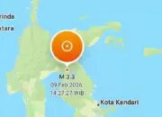 Gempa Dangkal Guncang Luwu Timur, Getaran Sampai Wasponda