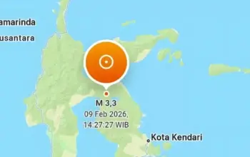 Gempa Dangkal Guncang Luwu Timur, Getaran Sampai Wasponda