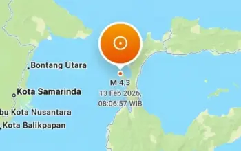 Gempa Donggala 13 Februari 2026 Magnitudo 4,3, Getaran Terasa Hingga Skala III MMI 5 Gempa Donggala 13 Februari 2026, Magnitudo 4,3 Guncang Pagi Hari hingga Skala III MMI
