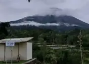 Gunung Merapi Alami Peningkatan Aktivitas, Lava Gugur hingga 2 Km, Warga Diminta Tetap Waspada