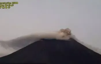 Gunung Semeru Erupsi Pagi Ini, Kolom Abu 300 Meter Mengarah ke Timur Laut 4 Gunung Semeru Erupsi Pagi Hari, Kolom Abu Capai 300 Meter