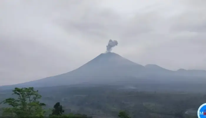 Erupsi Gunung Semeru 22 Februari 2026, Kolom Abu Capai 900 Meter