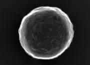 Ilmuwan Kembangkan Bubble Bots, Robot Mikro Pengantar Obat ke Sel Kanker