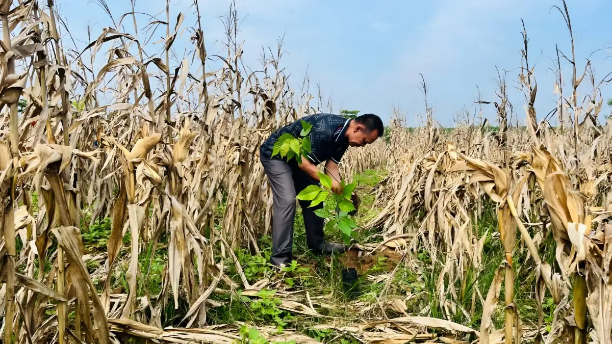 KONI Lampung Tanam Ratusan Bibit Pohon, Dorong Pengembangan Sport Ecotourism di Kotabaru