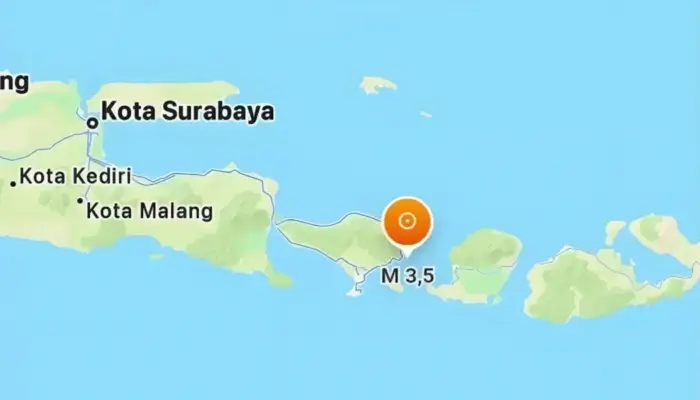 Gempa Magnitudo 3,5 Guncang Karangasem Bali, Getaran Terasa Warga