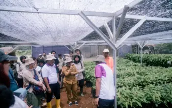 Lampung Timur Genjot Agroforestri Kakao Berkelanjutan untuk Perkuat Ekonomi Warga Sekitar Hutan