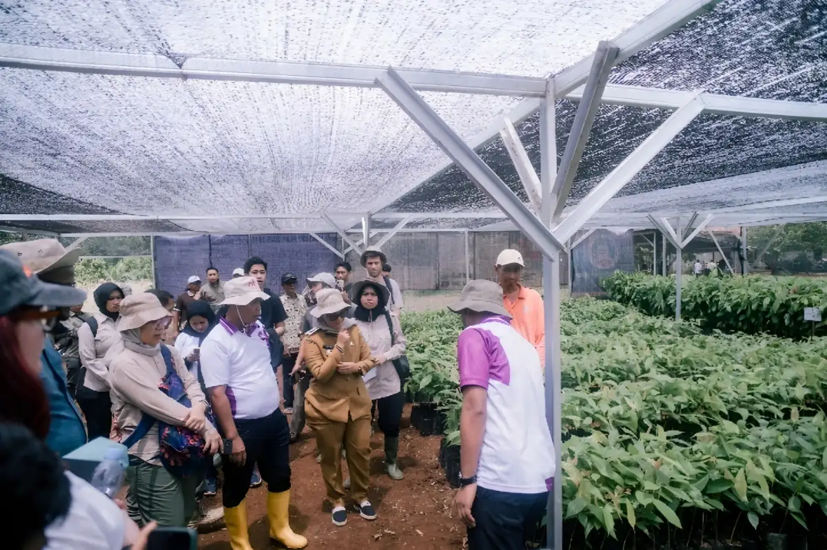 Lampung Timur Genjot Agroforestri Kakao Berkelanjutan untuk Perkuat Ekonomi Warga Sekitar Hutan