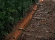 Deforestasi: Ancaman Nyata bagi Lingkungan dan Kesehatan Manusia 12 Pakar IPB Soroti Deforestasi Tingkatkan Ancaman Penyakit dan Ganggu Keseimbangan Ekosistem Hutan