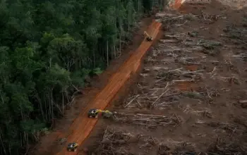 Deforestasi: Ancaman Nyata bagi Lingkungan dan Kesehatan Manusia 5 Pakar IPB Soroti Deforestasi Tingkatkan Ancaman Penyakit dan Ganggu Keseimbangan Ekosistem Hutan