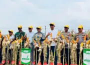 Polsek Tanjung Bintang Bersama Pemkab Lampung Selatan Gelar Panen Raya 32 Ton Jagung