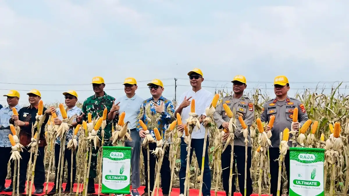 Polsek Tanjung Bintang Bersama Pemkab Lampung Selatan Gelar Panen Raya 32 Ton Jagung