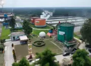 ROA PalmCo Capai 7,9 Persen, Tanda Penguatan Kinerja Aset Holding Perkebunan Nusantara