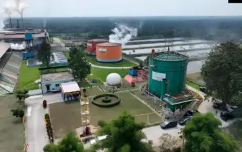 ROA PalmCo Capai 7,9 Persen, Tanda Penguatan Kinerja Aset Holding Perkebunan Nusantara