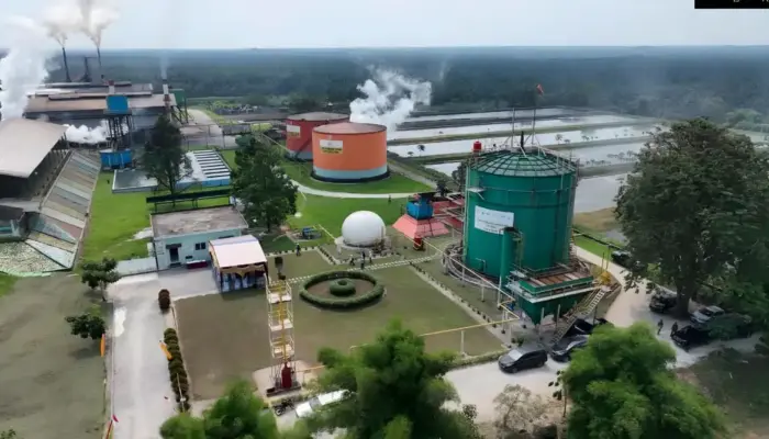 ROA PalmCo Tembus 7,9 Persen, Sinyal Penguatan Kinerja Aset Holding Perkebunan Nusantara