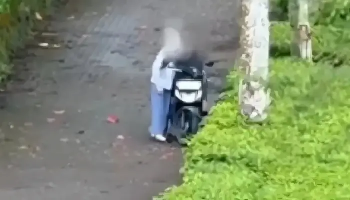 Viral Video Dugaan Aksi Tak Pantas di Kebun Teh Seroja Wonosobo, Tuai Sorotan Publik