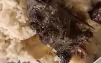 Viral! Pelanggan Temukan Diduga Belatung di Iga Bakar di Rumah Makan Semarang, Refund Dipertanyakan