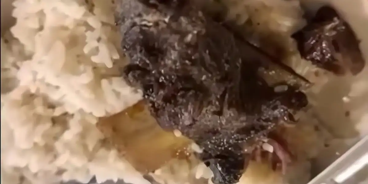 Viral! Pelanggan Temukan Diduga Belatung di Iga Bakar di Rumah Makan Semarang, Refund Dipertanyakan