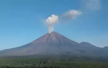 Aktivitas Gunung Semeru Terbaru: Tercatat 21 Gempa Erupsi, Warga Diminta Tetap Waspada 5 Aktivitas Gunung Semeru Meningkat, Tercatat 21 Kali Gempa Erupsi dan Warga Diminta Waspada