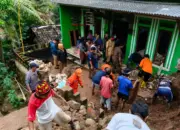 BPBD Bandar Lampung Imbau Pengendara Waspadai Pohon Besar Saat Hujan Lebat