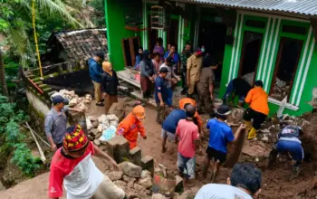 BPBD Bandar Lampung Imbau Pengendara Waspadai Pohon Besar Saat Hujan Lebat