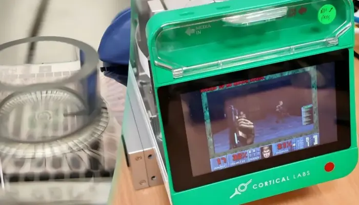 Cortical Labs Latih 200 Ribu Sel Otak Manusia di Chip untuk Main Game Doom