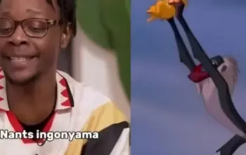 Heboh! Learnmore Jonasi Digugat Rp458 Miliar oleh Lebo M Terkait Lagu “Circle of Life” 8 Geger Komedian Learnmore Jonasi Dituding Salah Tafsir Lagu ‘Circle of Life Digugat Rp458 Miliar