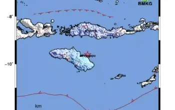 Gempa Magnitudo 4,8 Guncang Waingapu Pagi Hari, Getaran Capai Skala IV MMI