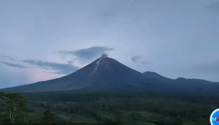 Aktivitas Gunung Semeru Meningkat: 14 Kali Letusan Tercatat, Warga Diminta Waspada Awan Panas