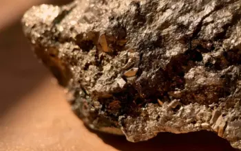 Harta Karun Dunia Ada di Indonesia, Pakar UGM Ungkap Lokasinya! 3 Harta Karun Dunia Tersembunyi di Indonesia, Pakar UGM Bongkar Lokasinya!