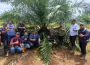 Holding Perkebunan Nusantara Lewat PTPN IV Regional V Realisasikan Mutasi TBM-3 ke TM-1 Seluas 1.119 Hektare