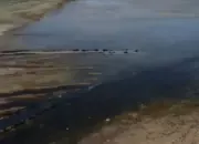 Ilmuwan Soroti Ancaman Mengeringnya Sungai Eufrat di Tengah Krisis Air Timur Tengah