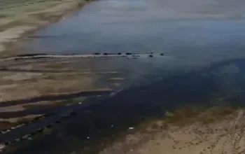 Ilmuwan Soroti Ancaman Mengeringnya Sungai Eufrat di Tengah Krisis Air Timur Tengah