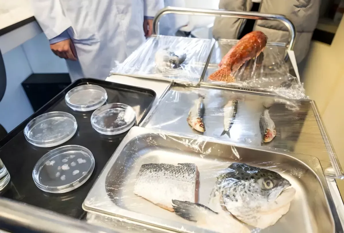 Ilmuwan Spanyol Kembangkan Kornea Buatan dari Sisik Ikan, Biaya Lebih Terjangkau