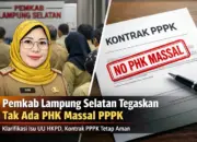Pemkab Lampung Selatan Pastikan Tak Ada PHK Massal PPPK di Tengah Isu UU HKPD