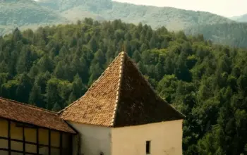 Kuliah Gratis di Eropa Timur? Transilvania University of Brașov Tawarkan Beasiswa S2 Penuh 4 Kesempatan Kuliah Gratis di Eropa Timur: Beasiswa S2 Rumania yang Jarang Dilirik