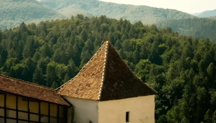 Kuliah Gratis di Eropa Timur? Transilvania University of Brașov Tawarkan Beasiswa S2 Penuh