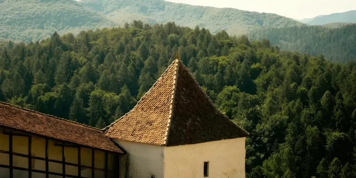 Kesempatan Kuliah Gratis di Eropa Timur: Beasiswa S2 Rumania yang Jarang Dilirik