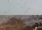 Langit Tel Aviv Dipenuhi Ribuan Gagak Saat Senja, Viral dan Dikira Pertanda Ini Faktanya