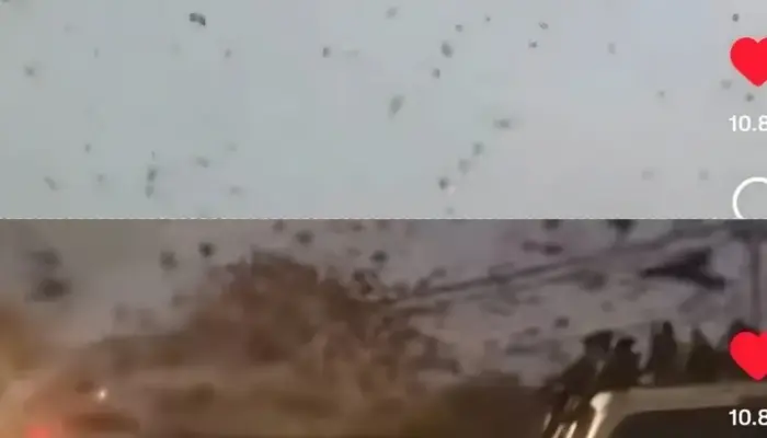 Langit Tel Aviv Dipenuhi Ribuan Gagak Saat Senja, Viral dan Dikira Pertanda Ini Faktanya