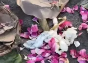 Ramai Dibahas Sesajen Tak Biasa Ditemukan Netizen di Pantai Parkus Setelah Sahur