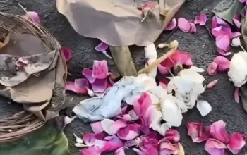 Ramai Dibahas Sesajen Tak Biasa Ditemukan Netizen di Pantai Parkus Setelah Sahur