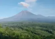 Semeru Kembali Aktif 24 Kali Letusan Terjadi Warga Dilarang Dekati Besuk Kobokan