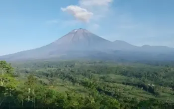 Semeru Kembali Aktif 24 Kali Letusan Terjadi Warga Dilarang Dekati Besuk Kobokan