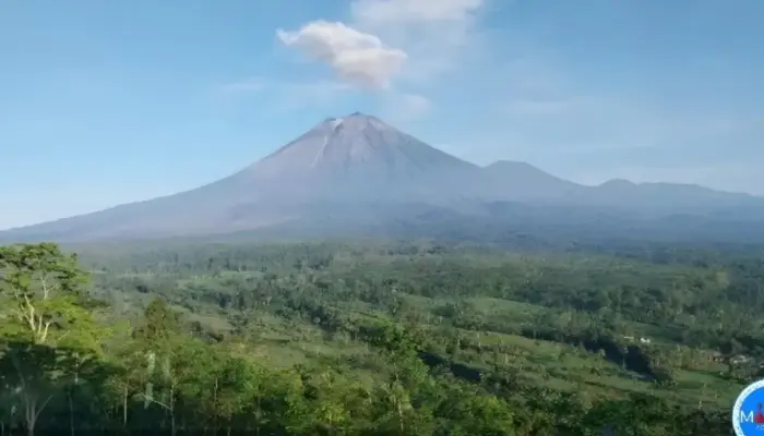 Aktivitas Gunung Semeru Meningkat, 24 Kali Letusan Tercatat, Warga Diminta Waspada