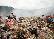 TPA Bakung Kembali Disorot: Dari Penyegelan hingga Dugaan Open Dumping Terulang