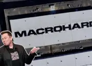 Tesla-xAI Kembangkan AI Bernama Macrohard, Siap Jadi Rival Microsoft